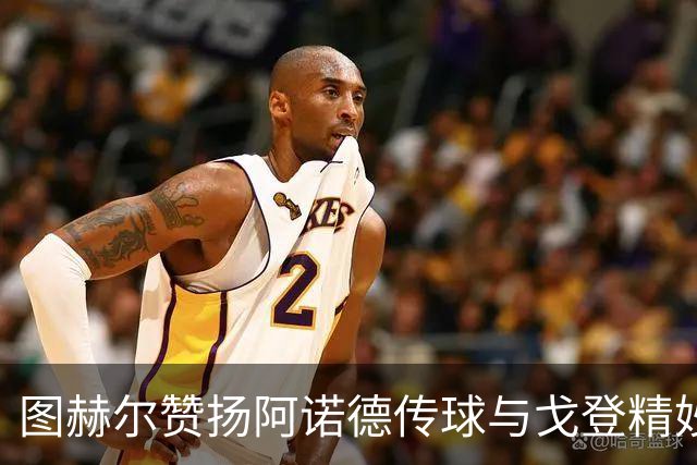 图赫尔赞扬阿诺德传球与戈登精妙射门表现
